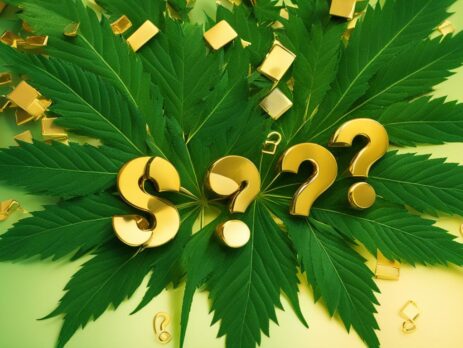 Get Your CBD Questions Answered: The Ultimate FAQ