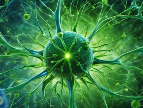 Introductory Guide to the Endocannabinoid System